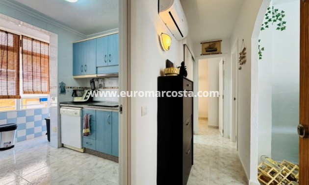 Sale - Apartment / flat - La Mata