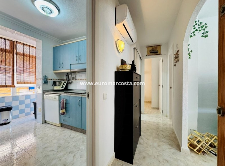 Sale - Apartment / flat - La Mata