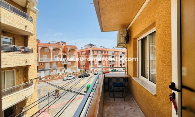 Sale - Apartment / flat - La Mata