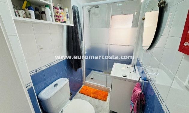 Sale - Apartment / flat - La Mata
