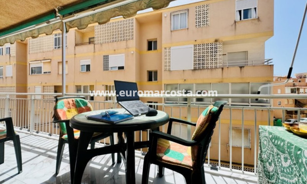 Sale - Apartment / flat - La Mata