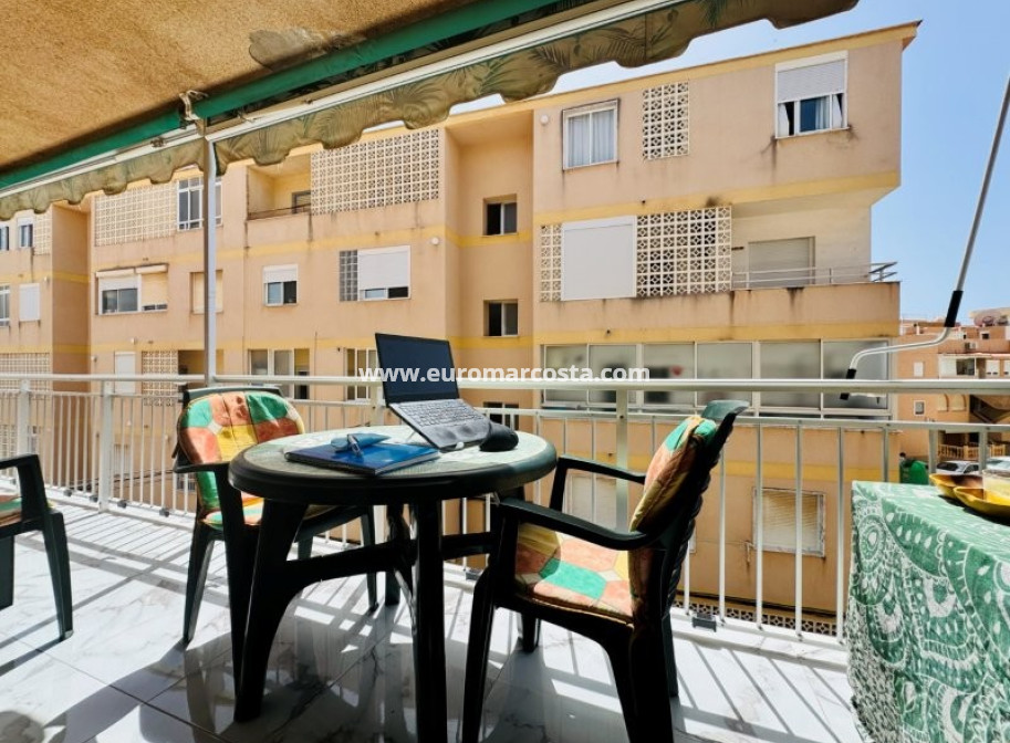 Sale - Apartment / flat - La Mata