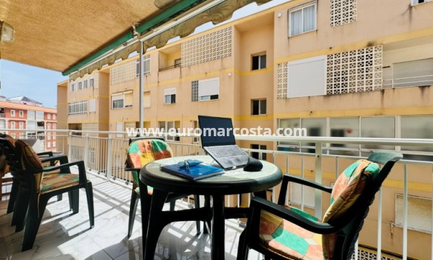 Sale - Apartment / flat - La Mata