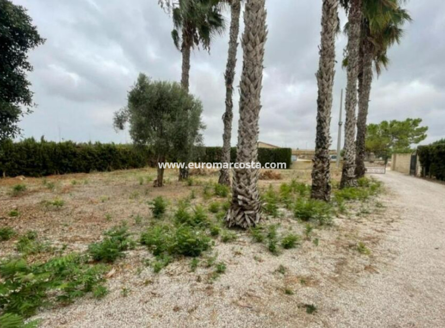 Venta - Detached Villa - Daya Vieja
