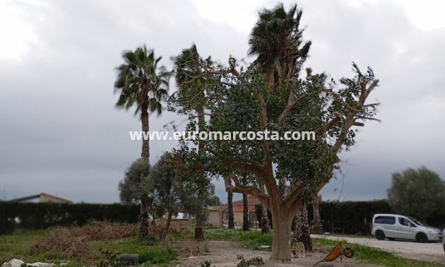 Venta - Detached Villa - Daya Vieja
