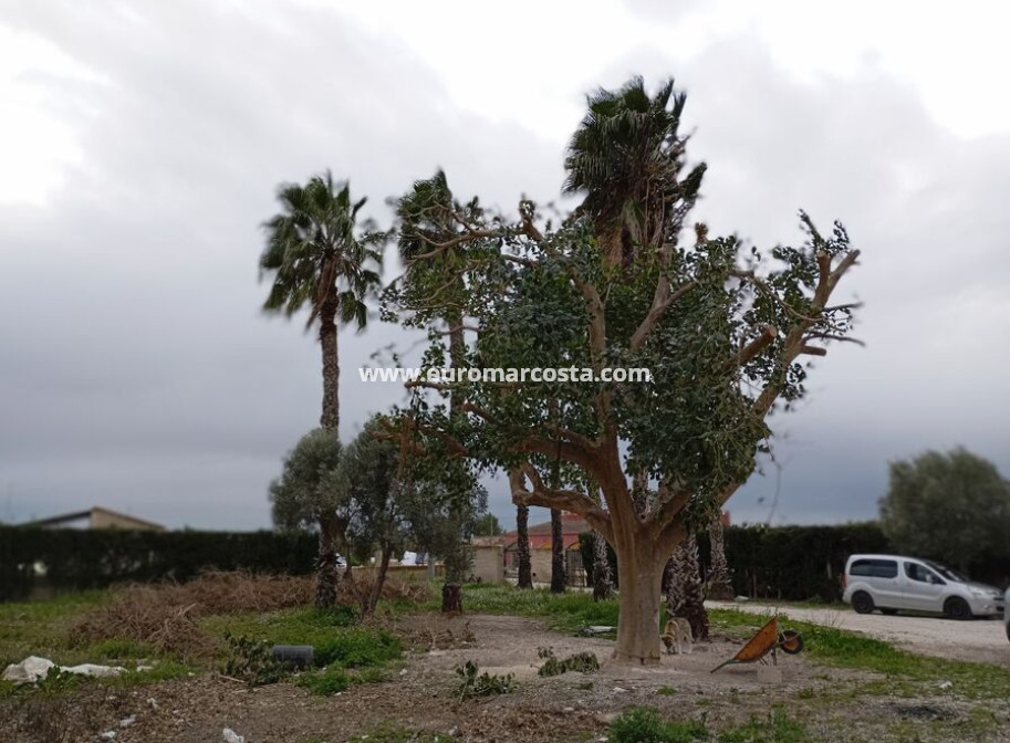 Venta - Detached Villa - Daya Vieja