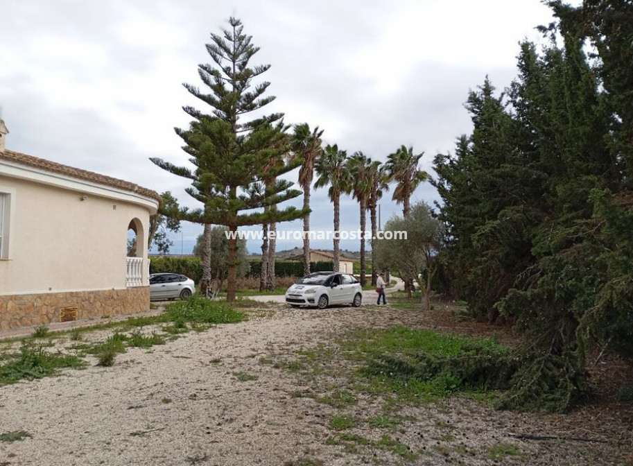 Venta - Detached Villa - Daya Vieja
