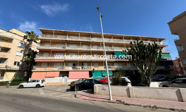 Sale - Apartment / flat - La Mata