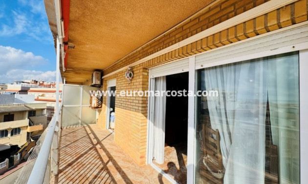 Sale - Apartment / flat - La Mata