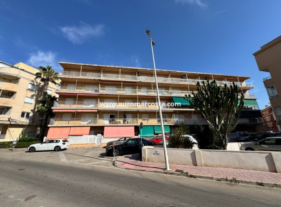 Sale - Apartment / flat - La Mata