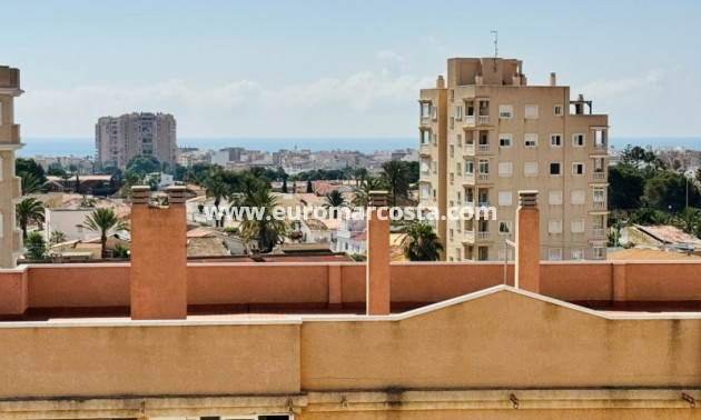 Objekte zum Wiederverkauf - Wohnung - Torrevieja - TORREVIEJA