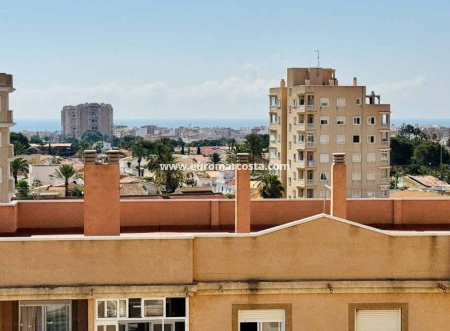 Objekte zum Wiederverkauf - Wohnung - Torrevieja - TORREVIEJA