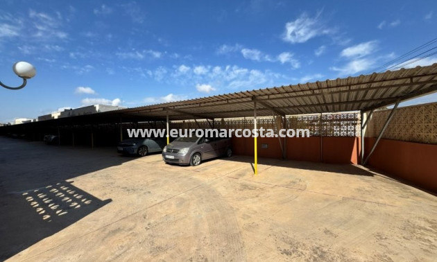 Objekte zum Wiederverkauf - Wohnung - Torrevieja - TORREVIEJA