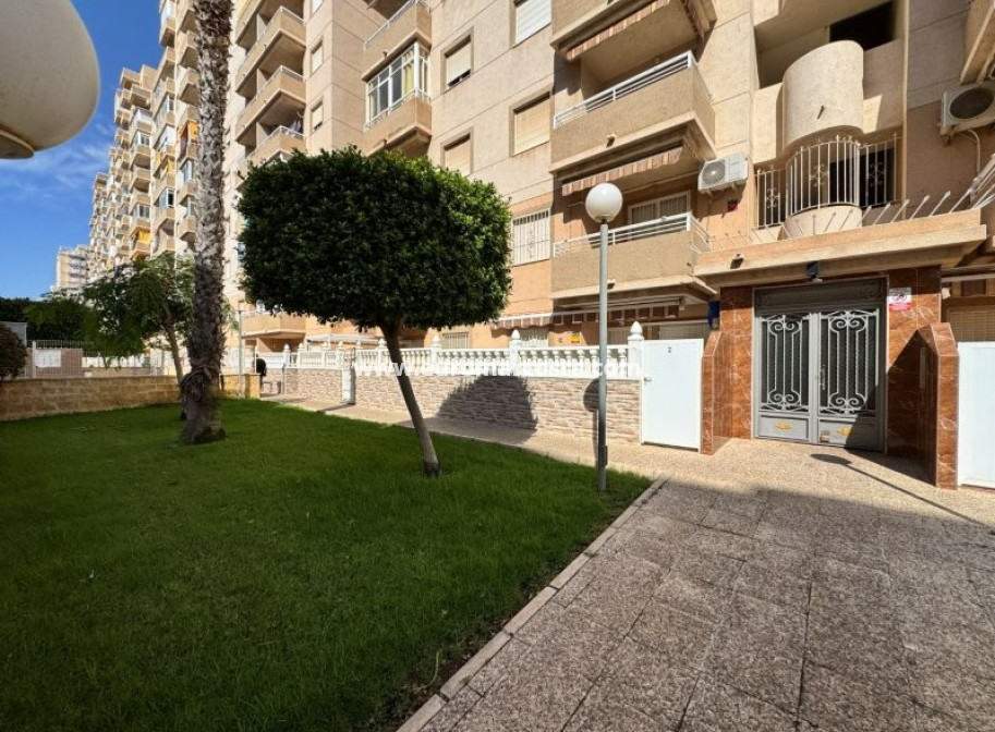 Objekte zum Wiederverkauf - Wohnung - Torrevieja - TORREVIEJA