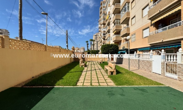 Objekte zum Wiederverkauf - Wohnung - Torrevieja - TORREVIEJA