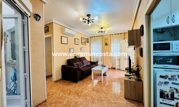 Venta - Apartamento / piso - La Mata