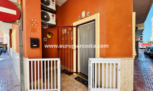 Venta - Apartamento / piso - La Mata