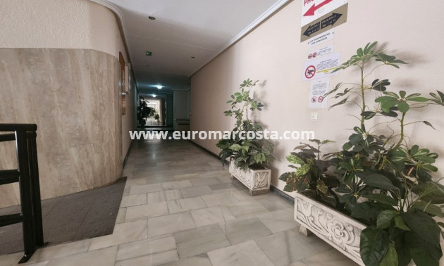 Venta - Apartamento / piso - Torrevieja - Playa del Acequión