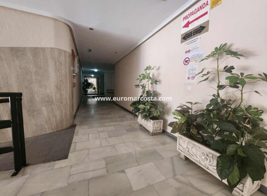 Venta - Apartamento / piso - Torrevieja - Playa del Acequión