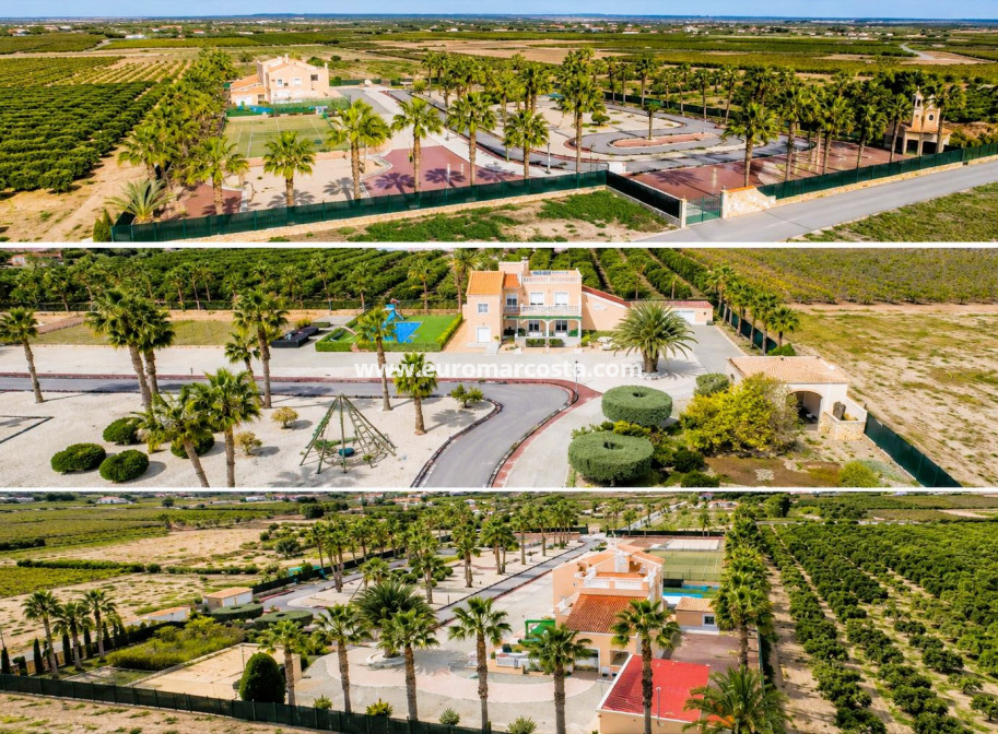Venta - Finca - Elche Pedanías - Elche/Elx