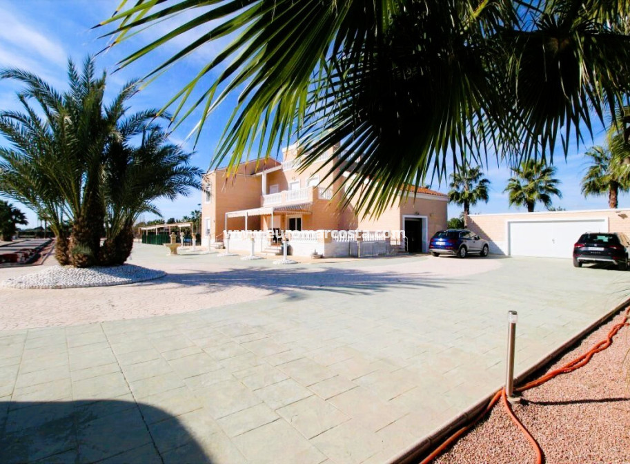 Venta - Finca - Elche Pedanías - Elche/Elx