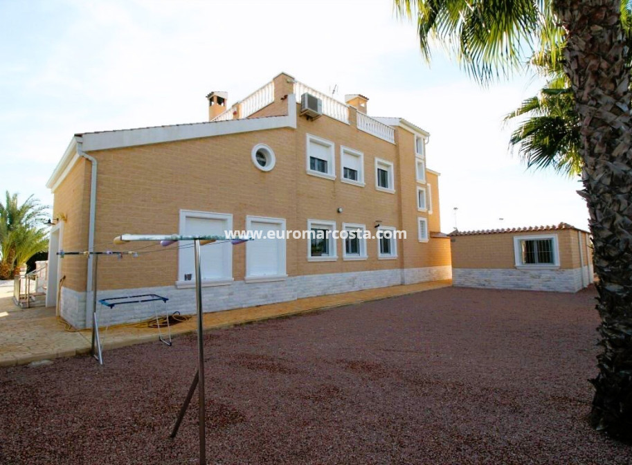 Venta - Finca - Elche Pedanías - Elche/Elx