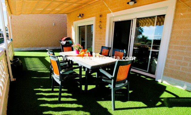 Venta - Finca - Elche Pedanías - Elche/Elx