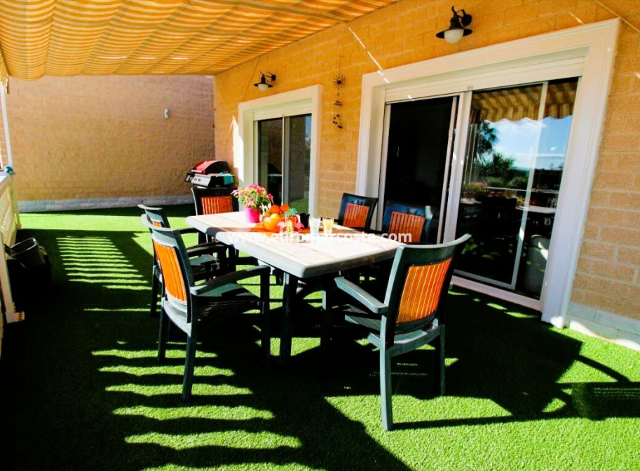 Venta - Finca - Elche Pedanías - Elche/Elx