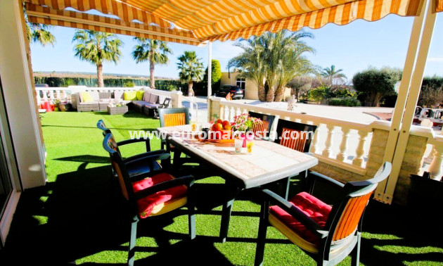 Venta - Finca - Elche Pedanías - Elche/Elx