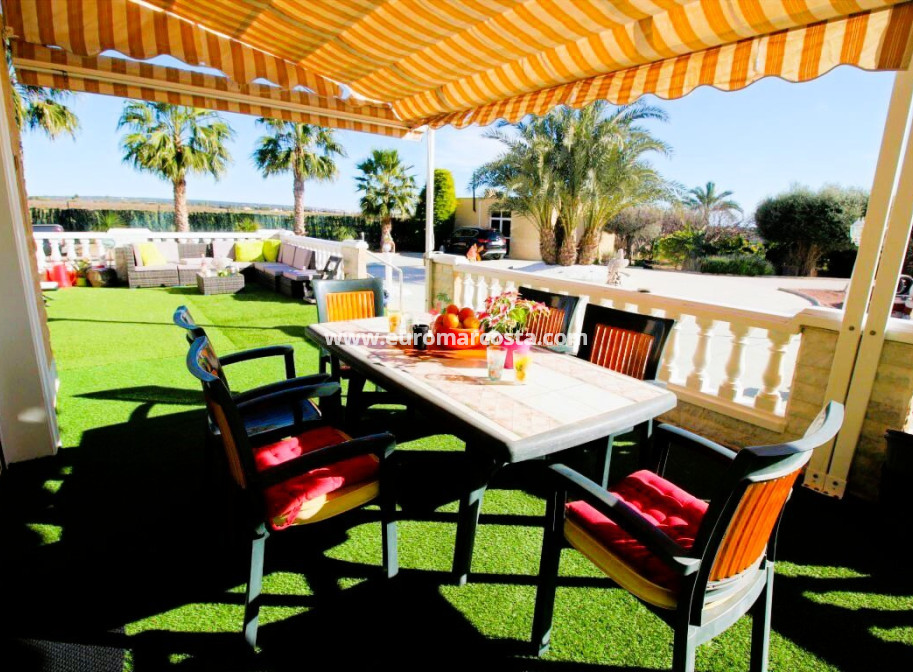 Venta - Finca - Elche Pedanías - Elche/Elx