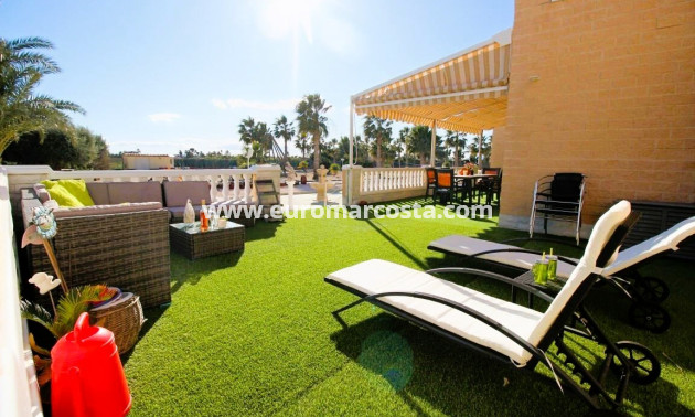 Venta - Finca - Elche Pedanías - Elche/Elx