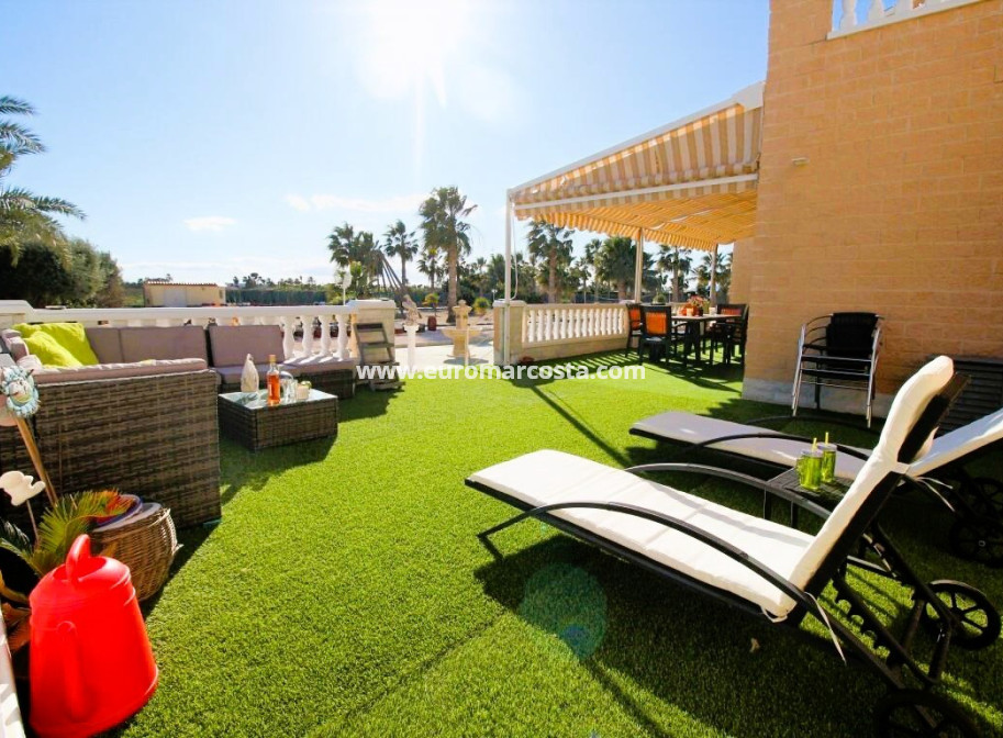 Venta - Finca - Elche Pedanías - Elche/Elx