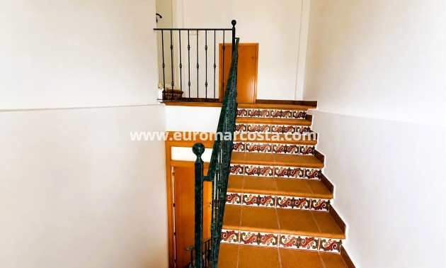 Venta - Finca - Elche Pedanías - Elche/Elx