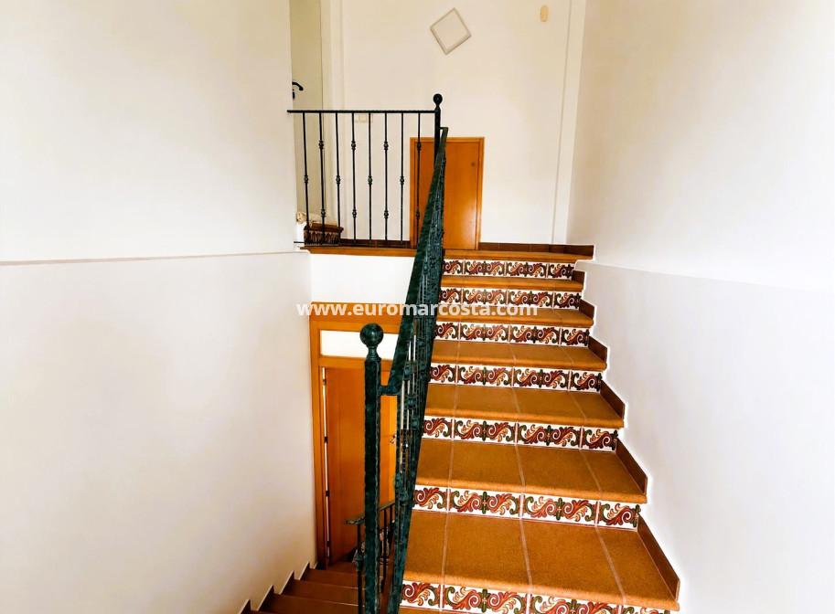 Venta - Finca - Elche Pedanías - Elche/Elx