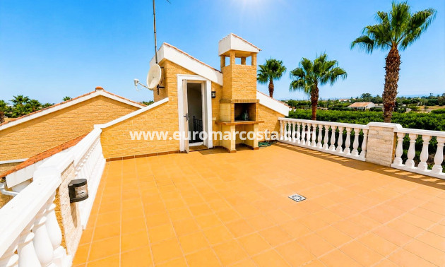 Venta - Finca - Elche Pedanías - Elche/Elx