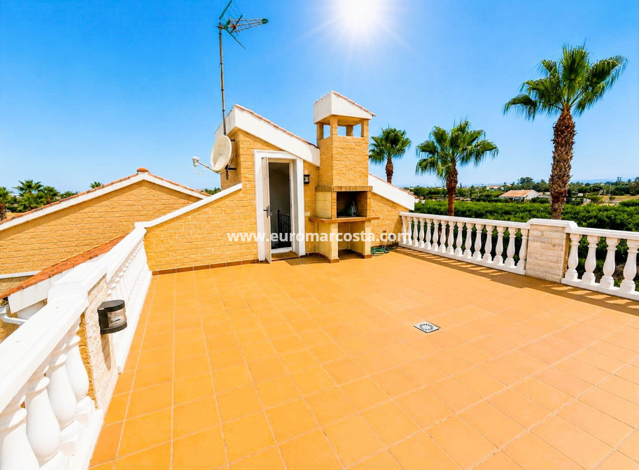 Venta - Finca - Elche Pedanías - Elche/Elx