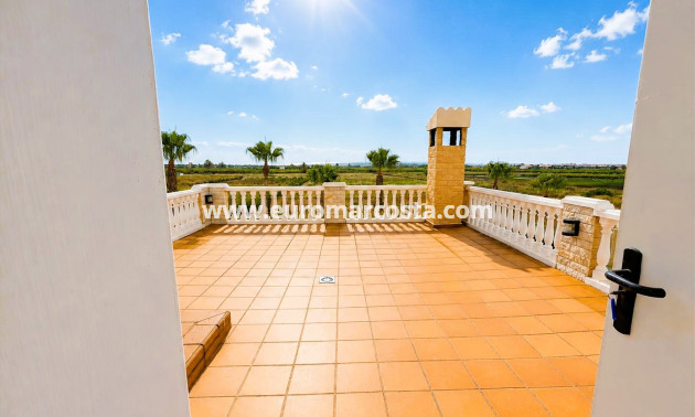 Venta - Finca - Elche Pedanías - Elche/Elx