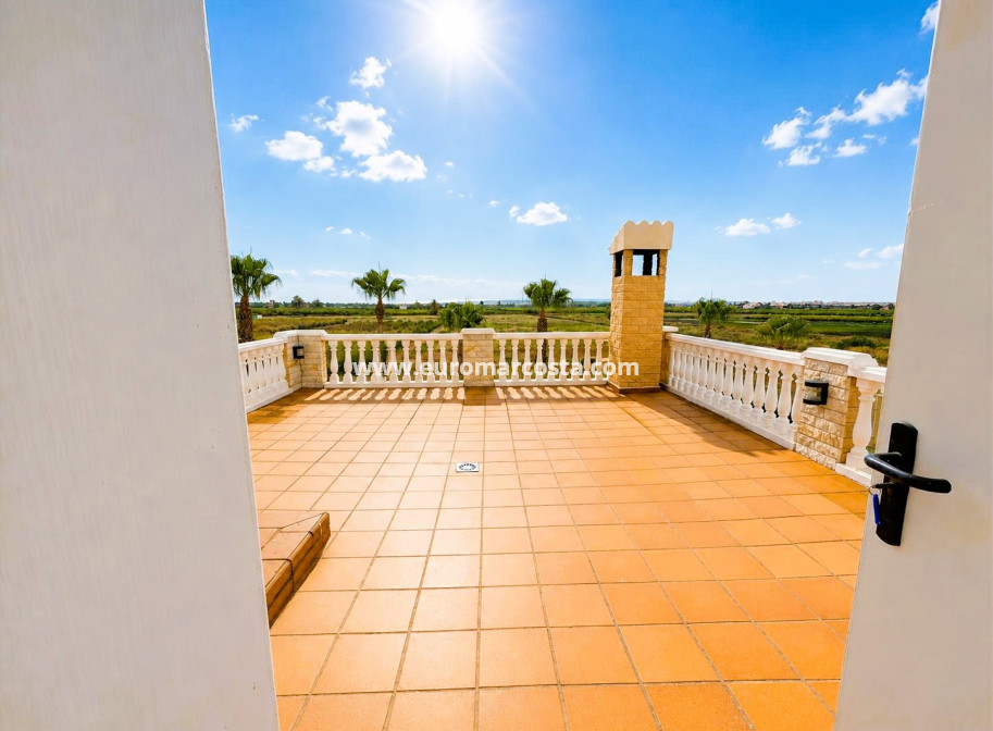 Venta - Finca - Elche Pedanías - Elche/Elx