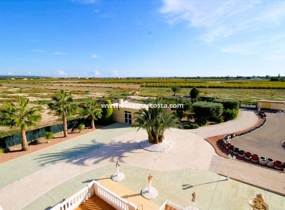 Venta - Finca - Elche Pedanías - Elche/Elx
