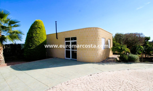 Venta - Finca - Elche Pedanías - Elche/Elx