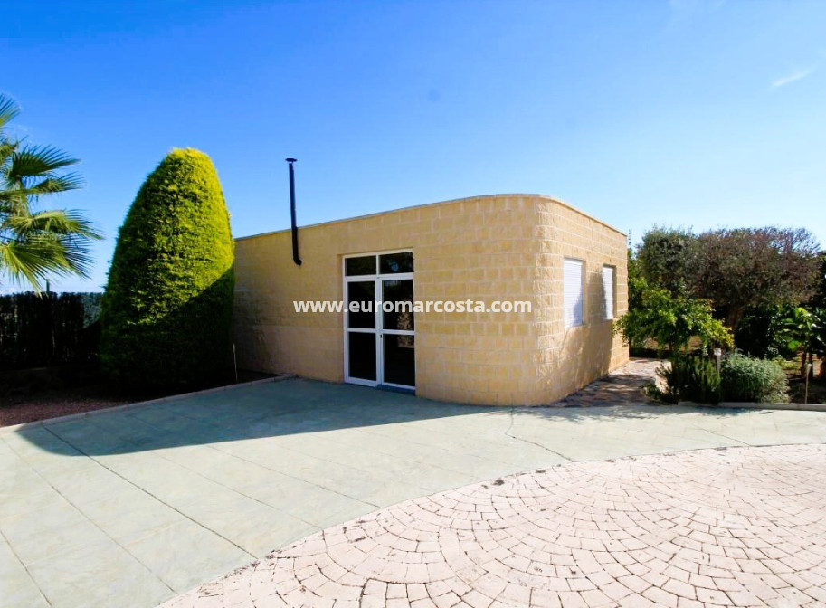 Venta - Finca - Elche Pedanías - Elche/Elx
