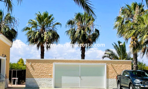 Venta - Finca - Elche Pedanías - Elche/Elx