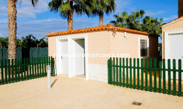 Venta - Finca - Elche Pedanías - Elche/Elx