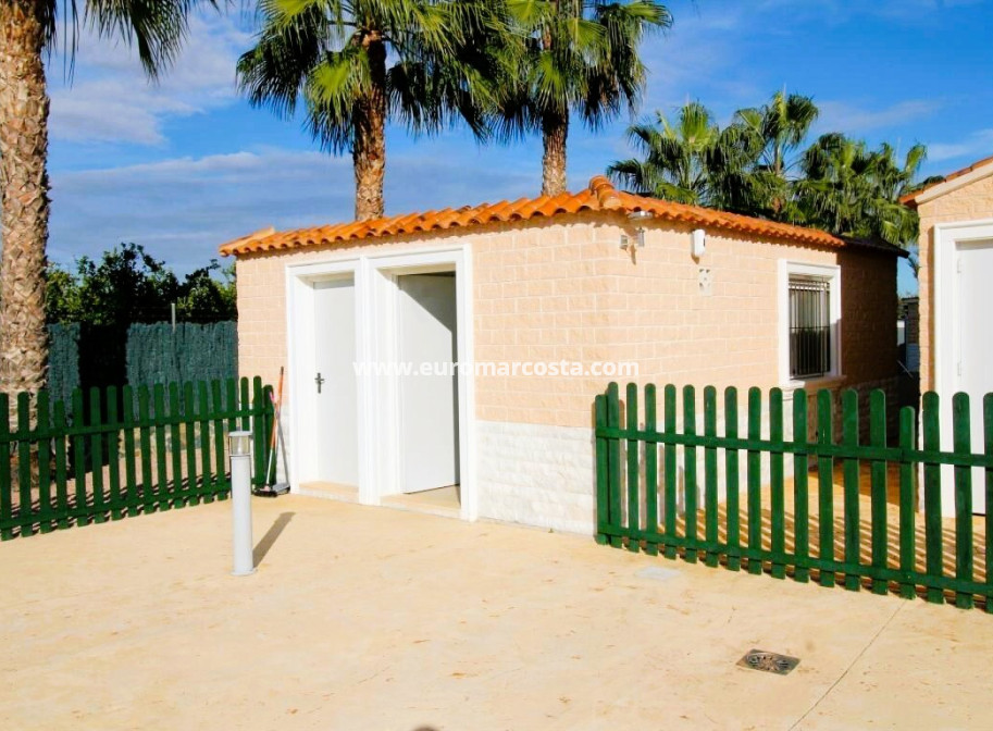 Venta - Finca - Elche Pedanías - Elche/Elx
