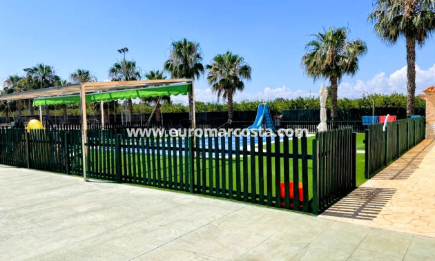 Venta - Finca - Elche Pedanías - Elche/Elx