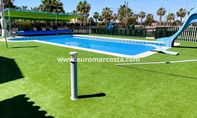 Venta - Finca - Elche Pedanías - Elche/Elx