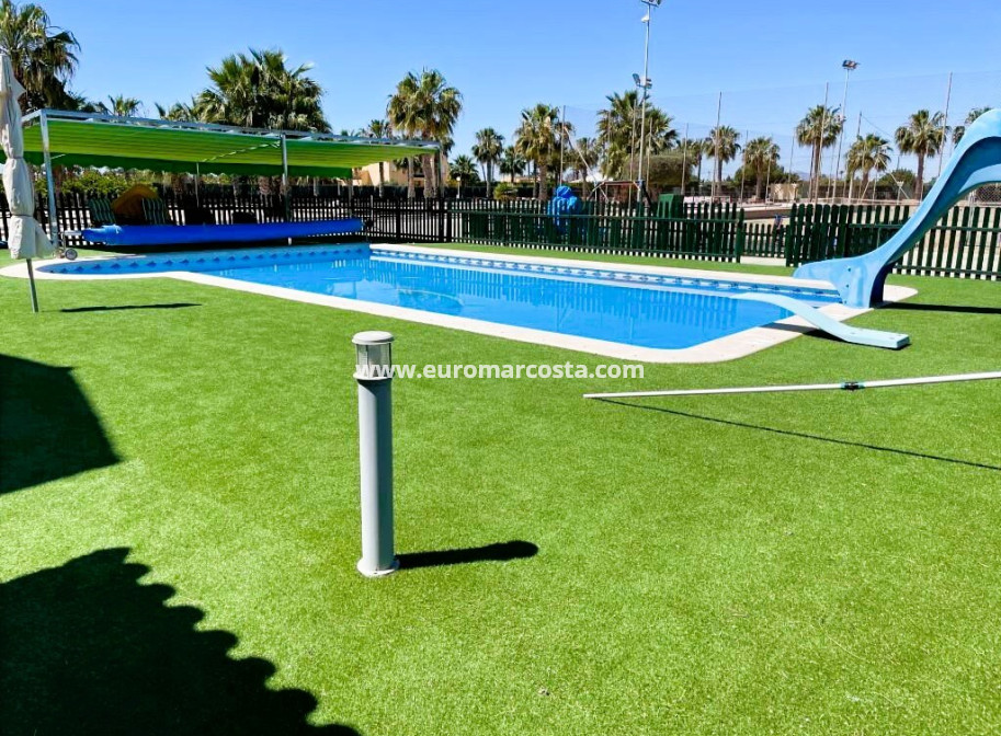 Venta - Finca - Elche Pedanías - Elche/Elx
