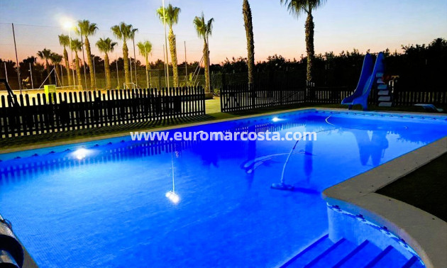 Venta - Finca - Elche Pedanías - Elche/Elx