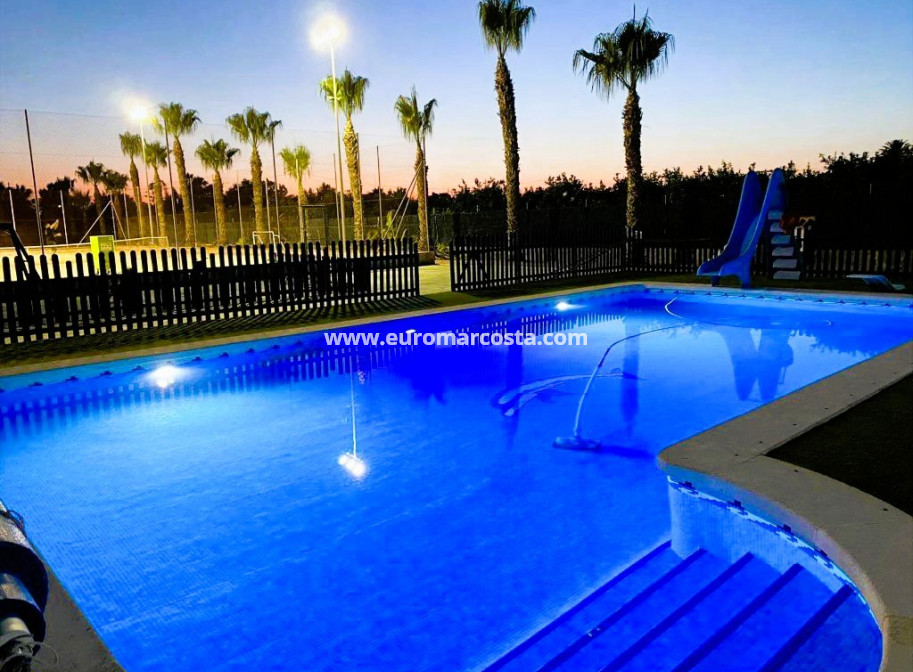 Venta - Finca - Elche Pedanías - Elche/Elx