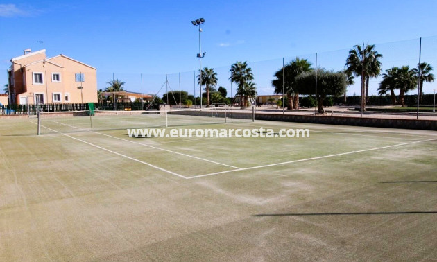 Venta - Finca - Elche Pedanías - Elche/Elx